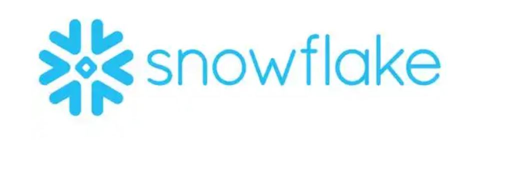 Snowflake拟收购AI初创公司Crunch Data