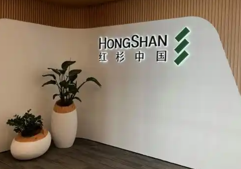 红杉资本据悉领投初创公司Rogo 押注AI工具取代初